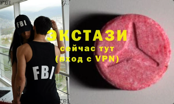 хмурый Дмитров