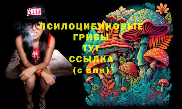 не бодяженный Дмитриев