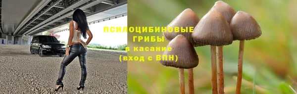 прущие крисы Дмитровск