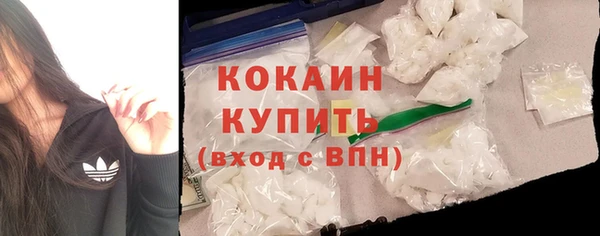 хмурый Дмитров