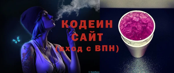 хмурый Дмитров