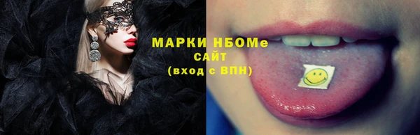хмурый Дмитров