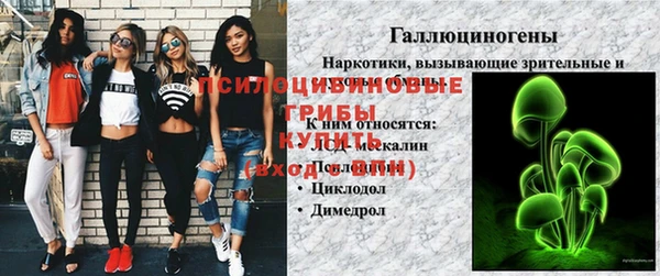 не бодяженный Дмитриев