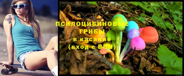 не бодяженный Дмитриев