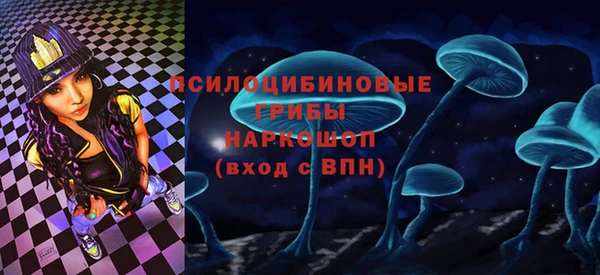 хмурый Дмитров