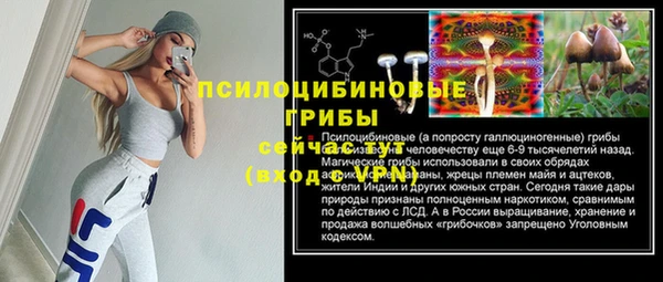не бодяженный Дмитриев