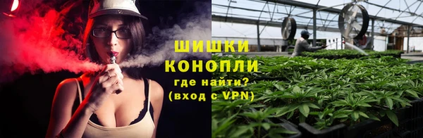 хмурый Дмитров