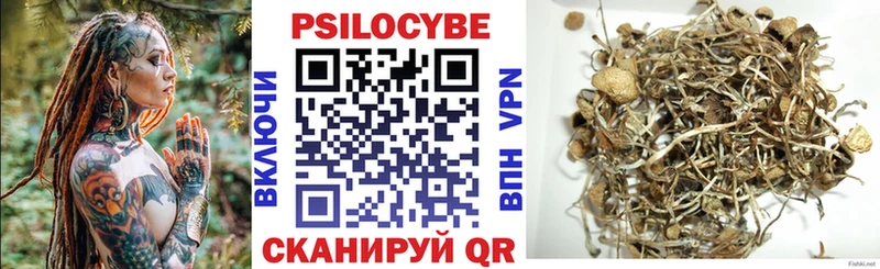 Купить закладки  Лыткарино  Галлюциногенные грибы Magic Shrooms 
