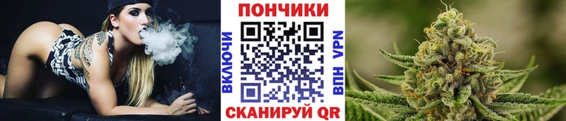 Купить закладки  Лыткарино  Бошки Шишки марихуана 